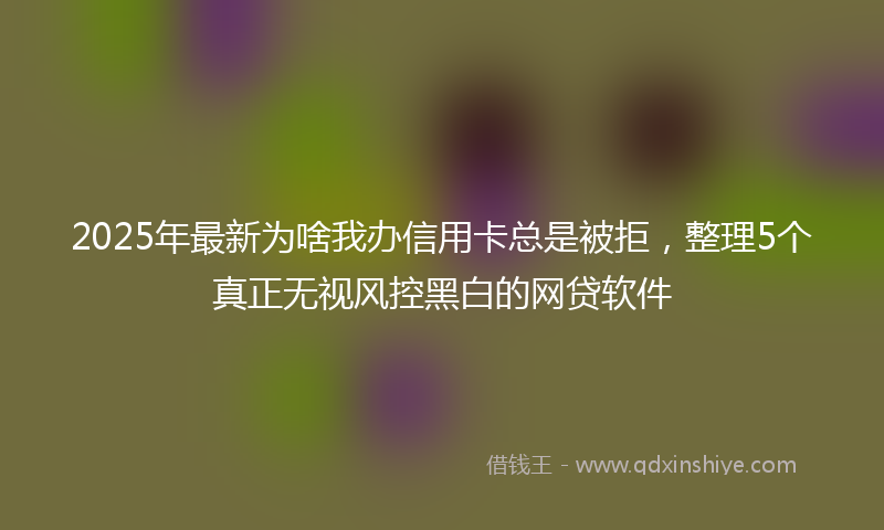 2025年最新为啥我办信用卡总是被拒，整理5个真正无视风控黑白的网贷软件