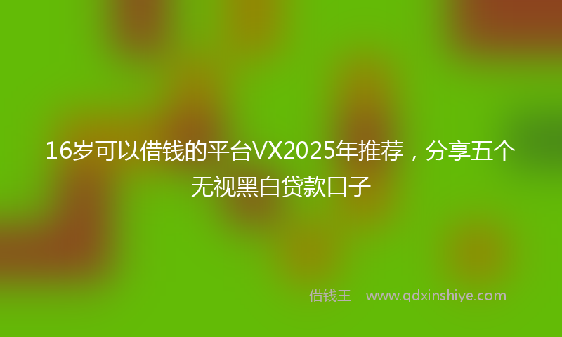 16岁可以借钱的平台VX2025年推荐，分享五个无视黑白贷款口子