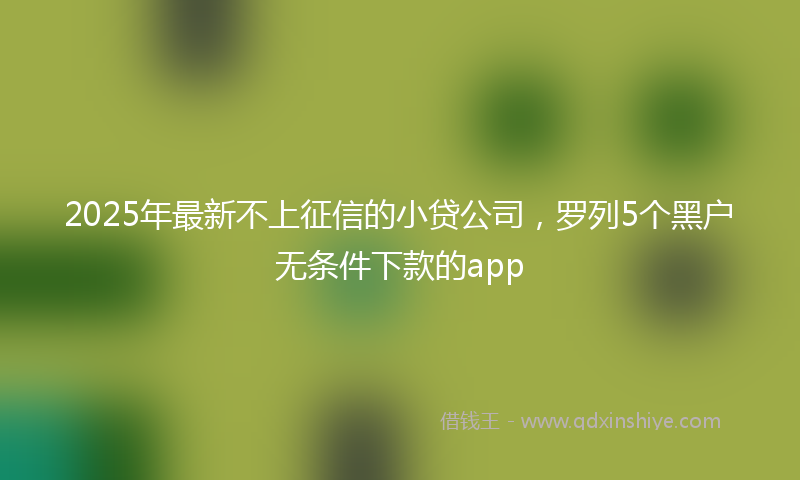2025年最新不上征信的小贷公司，罗列5个黑户无条件下款的app