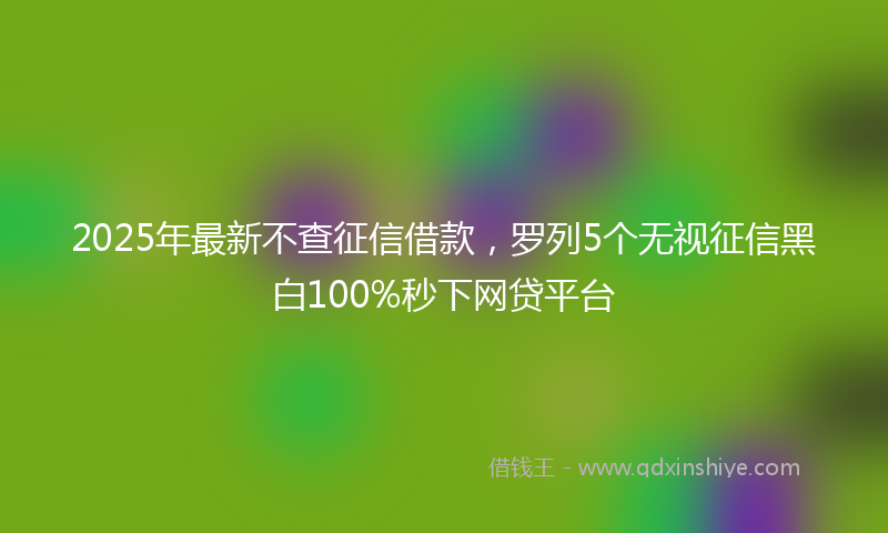 2025年最新不查征信借款，罗列5个无视征信黑白100%秒下网贷平台