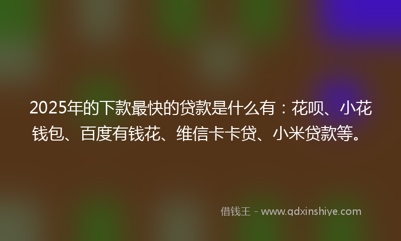 2025年的下款最快的贷款是什么有：花呗、小花钱包、百度有钱花、维信卡卡贷、小米贷款等。