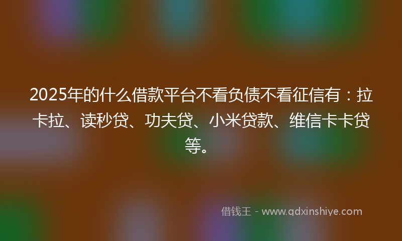 2025年的什么借款平台不看负债不看征信有：拉卡拉、读秒贷、功夫贷、小米贷款、维信卡卡贷等。