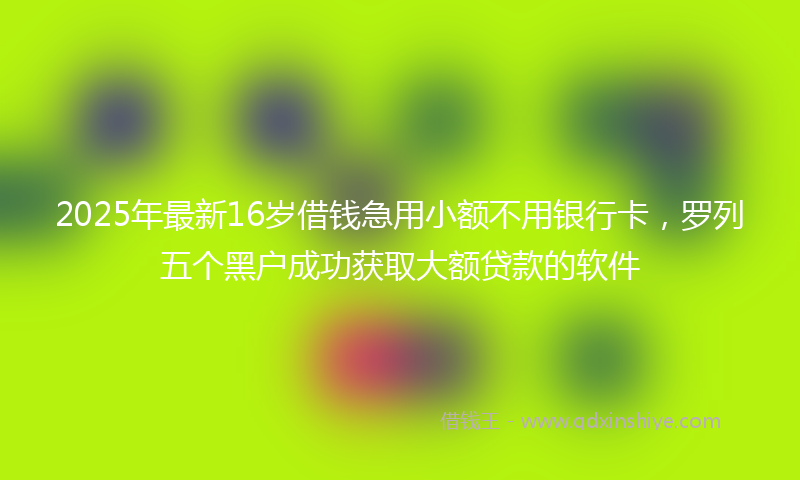 2025年最新16岁借钱急用小额不用银行卡，罗列五个黑户成功获取大额贷款的软件