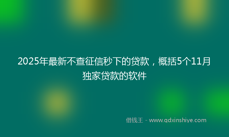 2025年最新不查征信秒下的贷款，概括5个11月独家贷款的软件