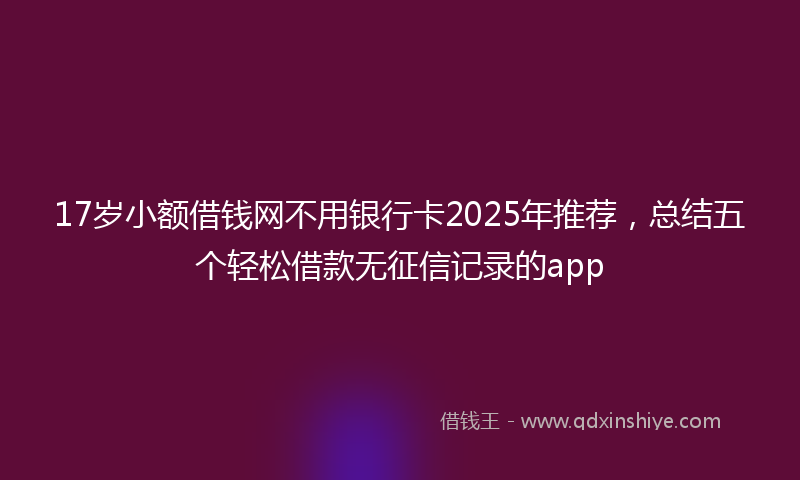 17岁小额借钱网不用银行卡2025年推荐，总结五个轻松借款无征信记录的app