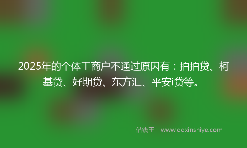 2025年的个体工商户不通过原因有:拍拍贷、柯基贷、好期贷、东方汇、平安i贷等。