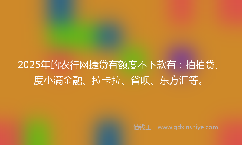 2025年的农行网捷贷有额度不下款有：拍拍贷、度小满金融、拉卡拉、省呗、东方汇等。
