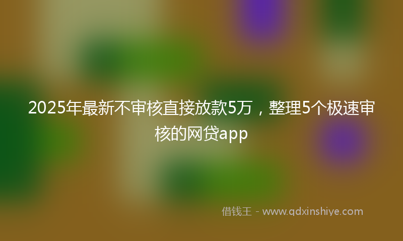 2025年最新不审核直接放款5万，整理5个极速审核的网贷app