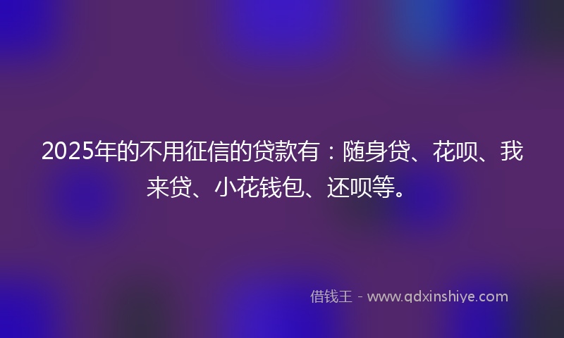 2025年的不用征信的贷款有：随身贷、花呗、我来贷、小花钱包、还呗等。