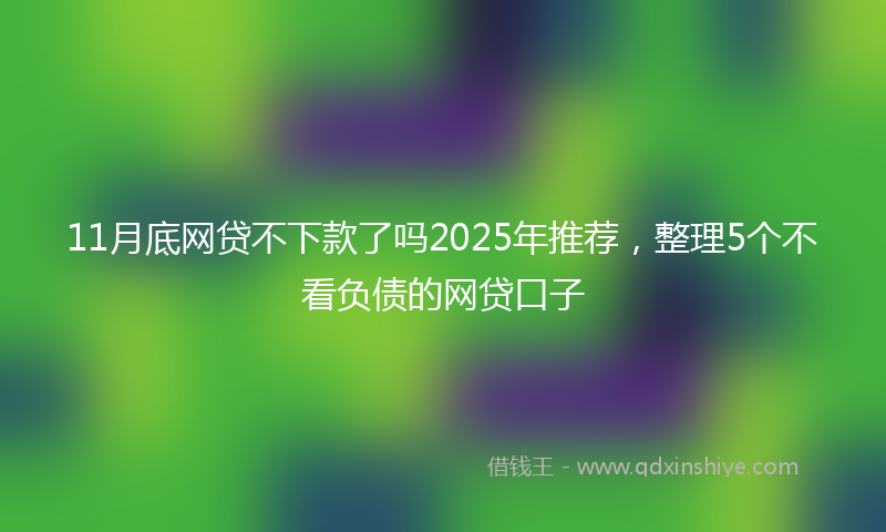 11月底网贷不下款了吗2025年推荐，整理5个不看负债的网贷口子