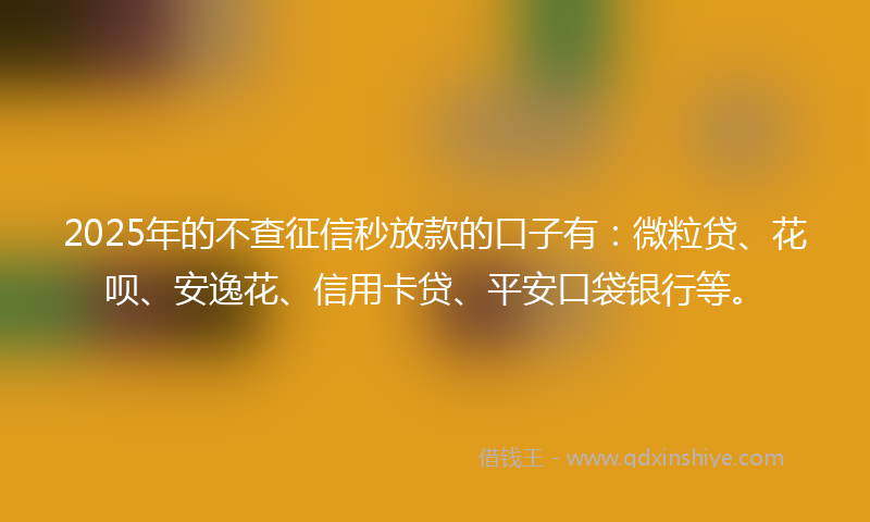 2025年的不查征信秒放款的口子有：微粒贷、花呗、安逸花、信用卡贷、平安口袋银行等。