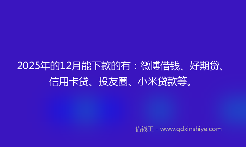 2025年的12月能下款的有：微博借钱、好期贷、信用卡贷、投友圈、小米贷款等。