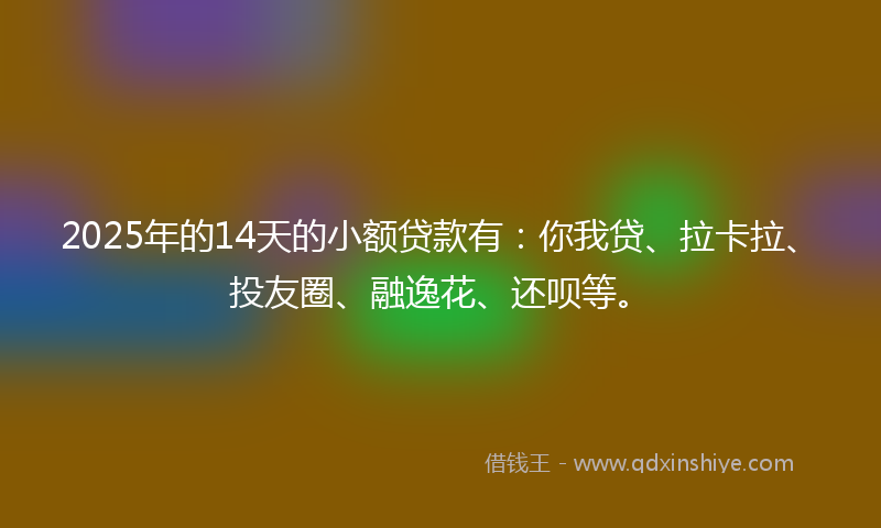 2025年的14天的小额贷款有：你我贷、拉卡拉、投友圈、融逸花、还呗等。