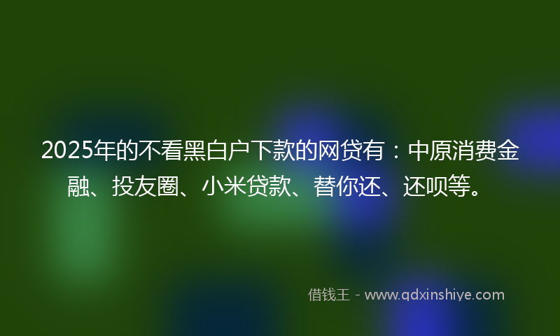 2025年的不看黑白户下款的网贷有：中原消费金融、投友圈、小米贷款、替你还、还呗等。