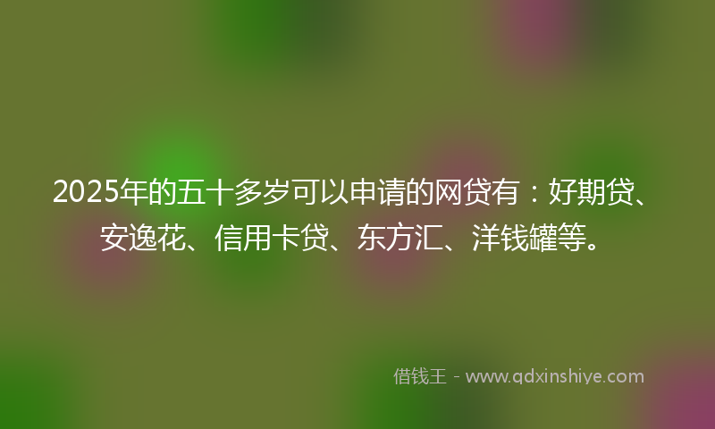 2025年的五十多岁可以申请的网贷有：好期贷、安逸花、信用卡贷、东方汇、洋钱罐等。
