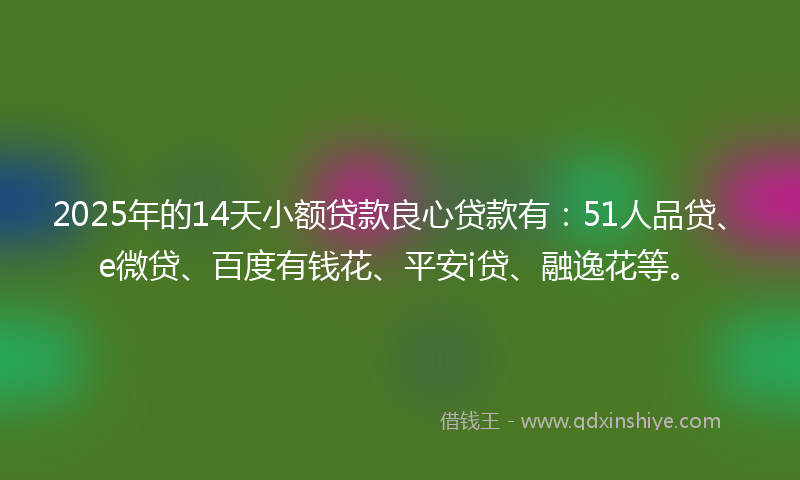 2025年的14天小额贷款良心贷款有：51人品贷、e微贷、百度有钱花、平安i贷、融逸花等。