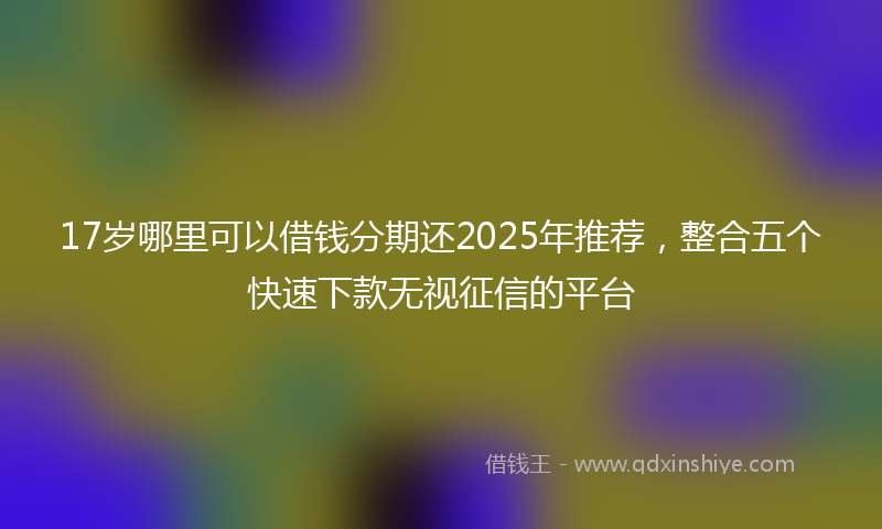 17岁哪里可以借钱分期还2025年推荐，整合五个快速下款无视征信的平台