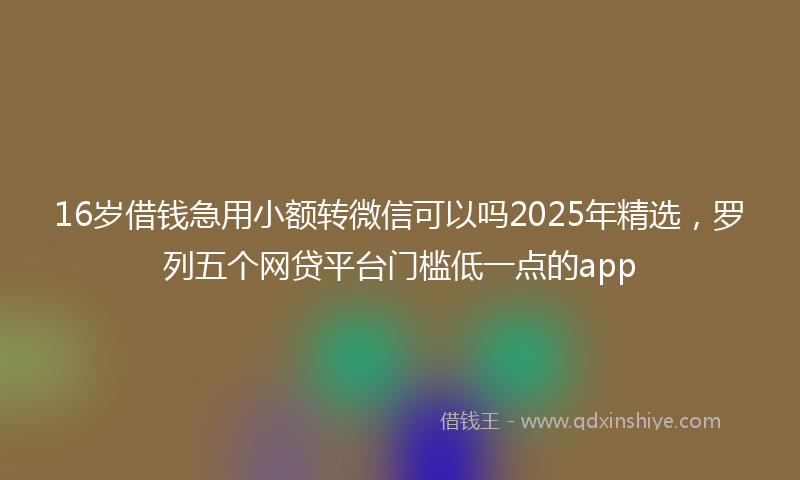 16岁借钱急用小额转微信可以吗2025年精选，罗列五个网贷平台门槛低一点的app