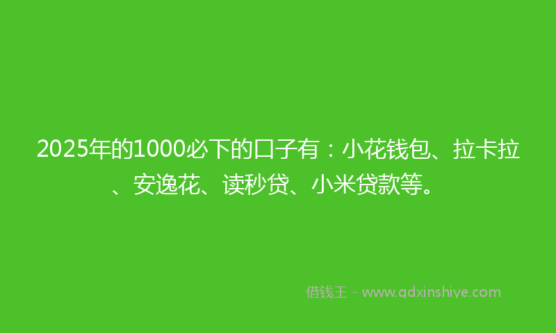 2025年的1000必下的口子有：小花钱包、拉卡拉、安逸花、读秒贷、小米贷款等。