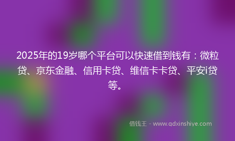 2025年的19岁哪个平台可以快速借到钱有：微粒贷、京东金融、信用卡贷、维信卡卡贷、平安i贷等。