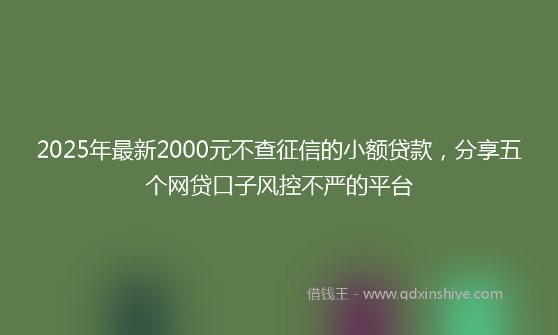 2025年最新2000元不查征信的小额贷款，分享五个网贷口子风控不严的平台