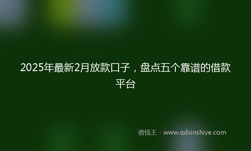 2025年最新2月放款口子，盘点五个靠谱的借款平台