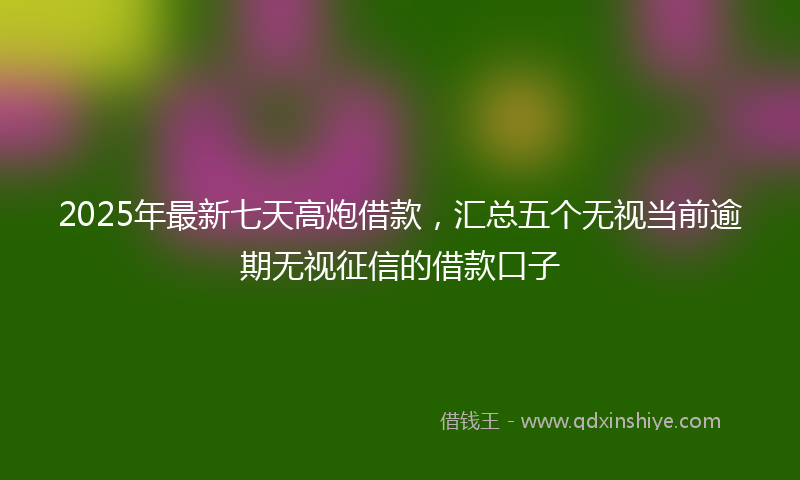 2025年最新七天高炮借款，汇总五个无视当前逾期无视征信的借款口子