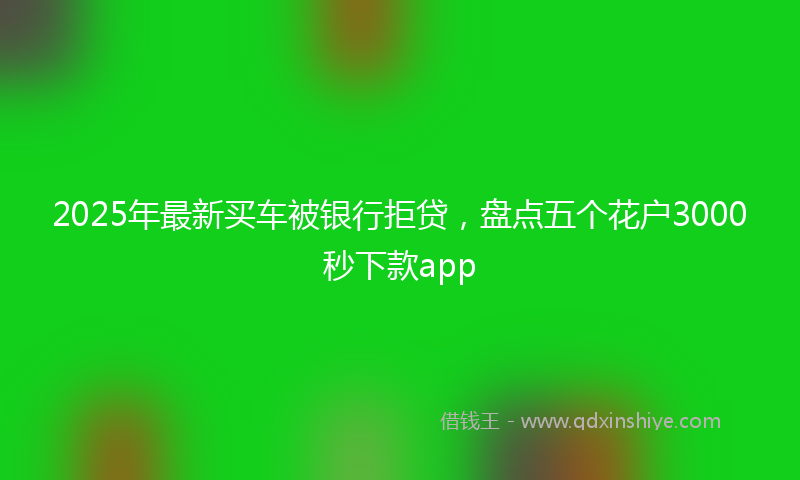 2025年最新买车被银行拒贷，盘点五个花户3000秒下款app