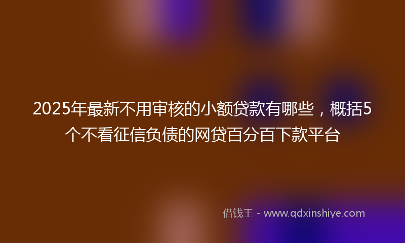 2025年最新不用审核的小额贷款有哪些，概括5个不看征信负债的网贷百分百下款平台