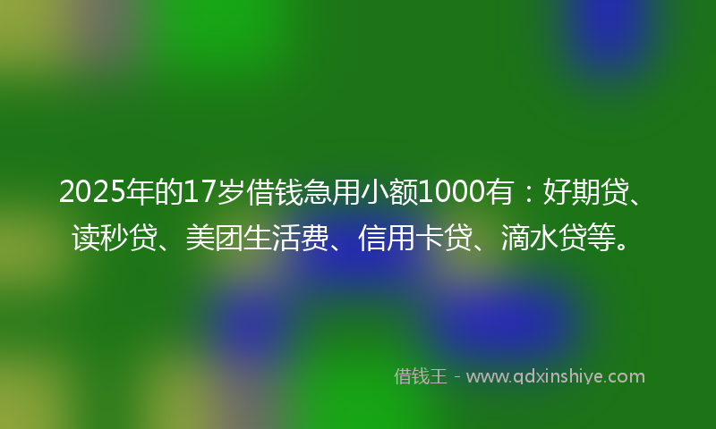 2025年的17岁借钱急用小额1000有：好期贷、读秒贷、美团生活费、信用卡贷、滴水贷等。