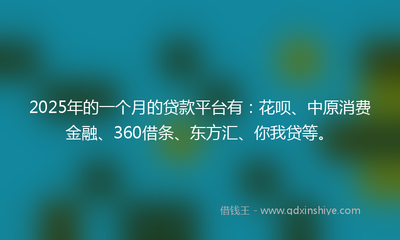 2025年的一个月的贷款平台有：花呗、中原消费金融、360借条、东方汇、你我贷等。