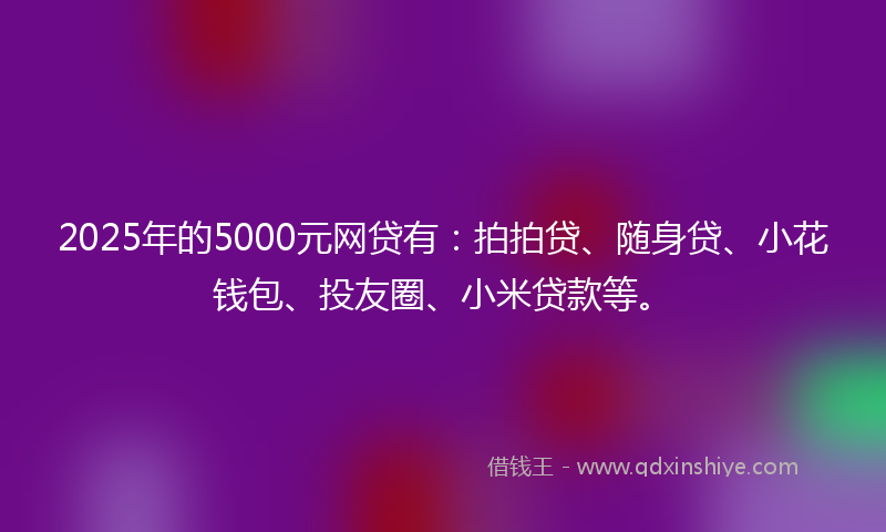 2025年的5000元网贷有：拍拍贷、随身贷、小花钱包、投友圈、小米贷款等。
