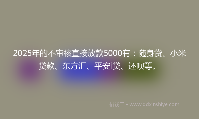 2025年的不审核直接放款5000有：随身贷、小米贷款、东方汇、平安i贷、还呗等。