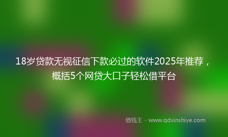 18岁贷款无视征信下款必过的软件2025年推荐，概括5个网贷大口子轻松借平台