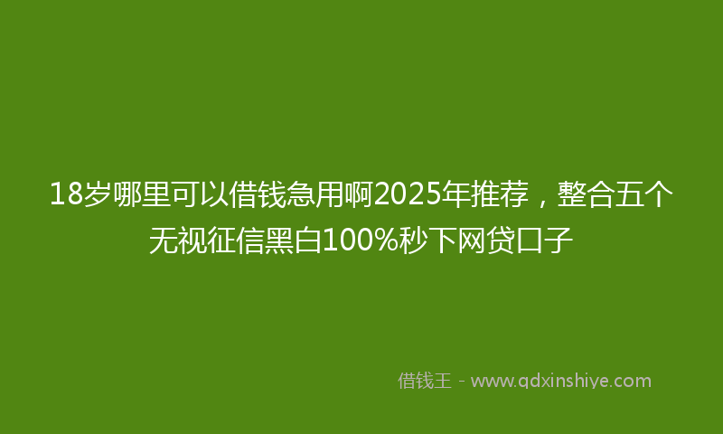18岁哪里可以借钱急用啊2025年推荐，整合五个无视征信黑白100%秒下网贷口子