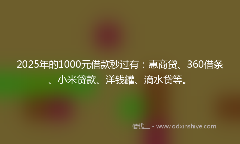 2025年的1000元借款秒过有：惠商贷、360借条、小米贷款、洋钱罐、滴水贷等。