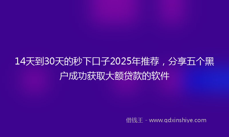 14天到30天的秒下口子2025年推荐，分享五个黑户成功获取大额贷款的软件