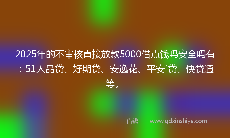 2025年的不审核直接放款5000借点钱吗安全吗有：51人品贷、好期贷、安逸花、平安i贷、快贷通等。