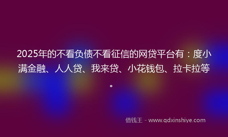 2025年的不看负债不看征信的网贷平台有：度小满金融、人人贷、我来贷、小花钱包、拉卡拉等。