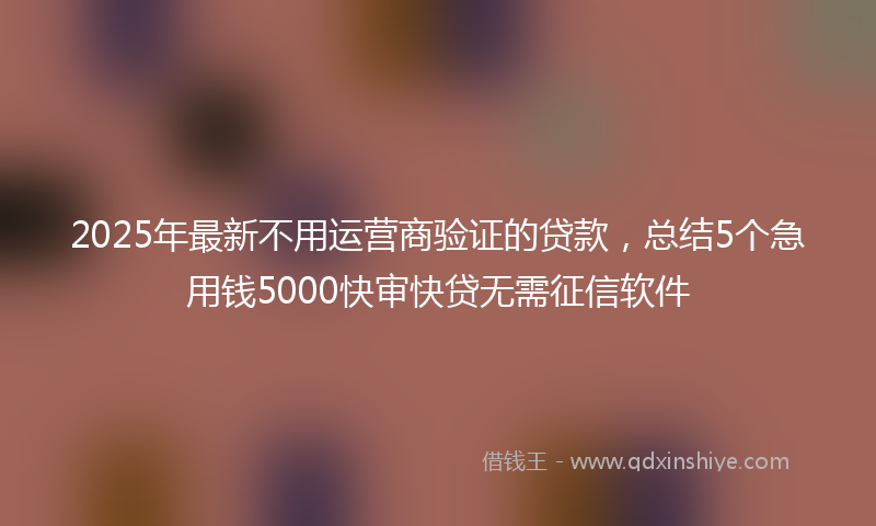 2025年最新不用运营商验证的贷款，总结5个急用钱5000快审快贷无需征信软件