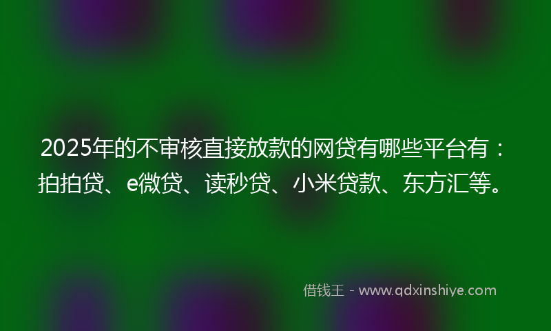 2025年的不审核直接放款的网贷有哪些平台有：拍拍贷、e微贷、读秒贷、小米贷款、东方汇等。