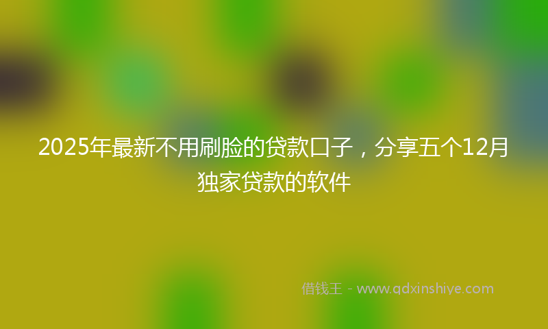 2025年最新不用刷脸的贷款口子，分享五个12月独家贷款的软件