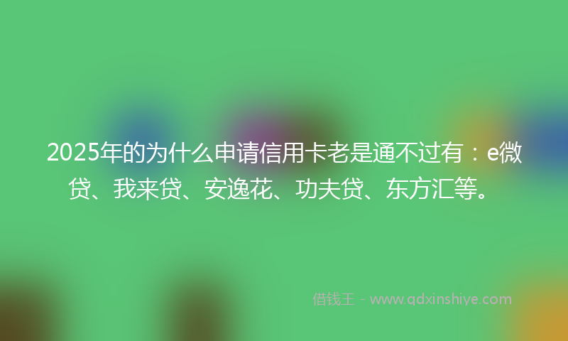2025年的为什么申请信用卡老是通不过有：e微贷、我来贷、安逸花、功夫贷、东方汇等。