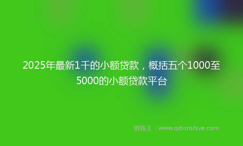 2025年最新1千的小额贷款，概括五个1000至5000的小额贷款平台