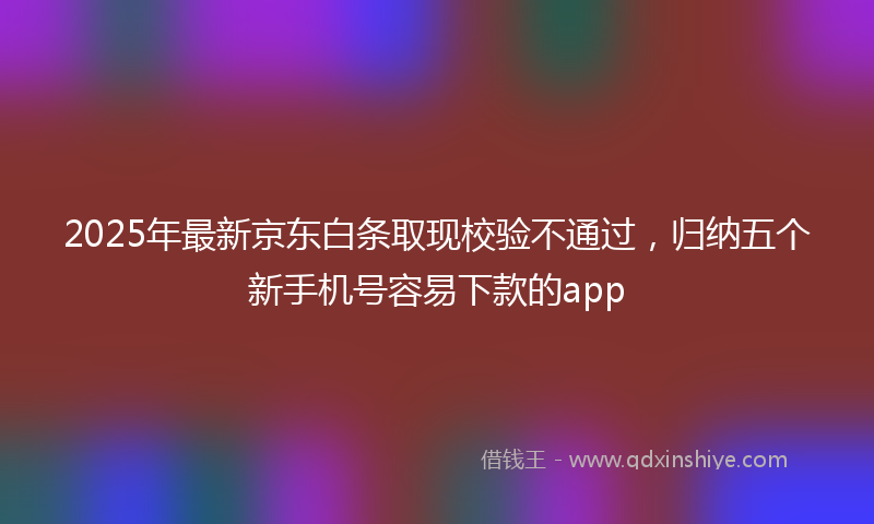2025年最新京东白条取现校验不通过，归纳五个新手机号容易下款的app