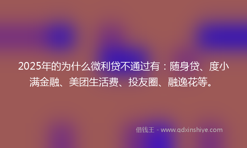 2025年的为什么微利贷不通过有：随身贷、度小满金融、美团生活费、投友圈、融逸花等。