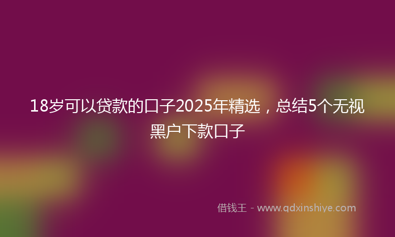 18岁可以贷款的口子2025年精选，总结5个无视黑户下款口子