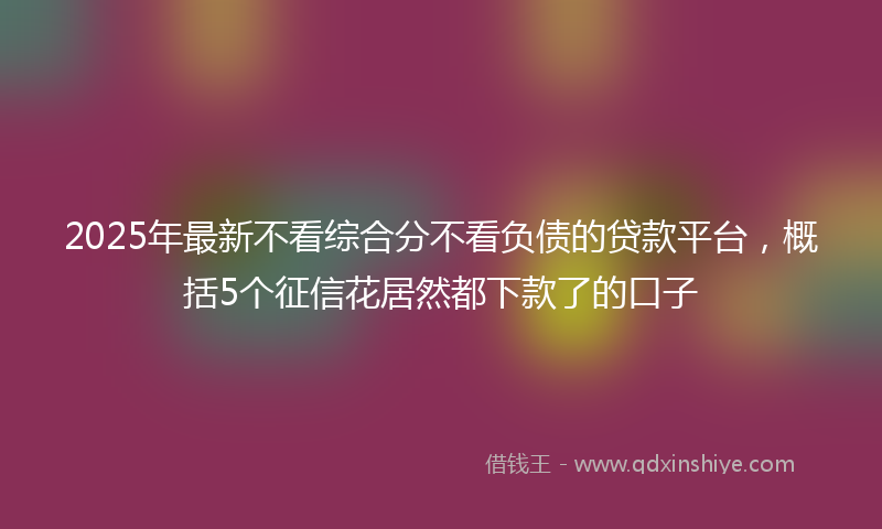 2025年最新不看综合分不看负债的贷款平台，概括5个征信花居然都下款了的口子