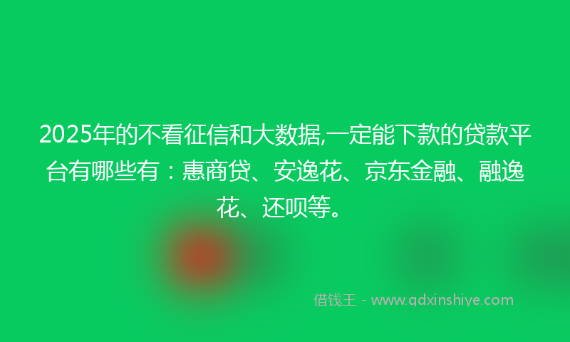 2025年的不看征信和大数据,一定能下款的贷款平台有哪些有：惠商贷、安逸花、京东金融、融逸花、还呗等。