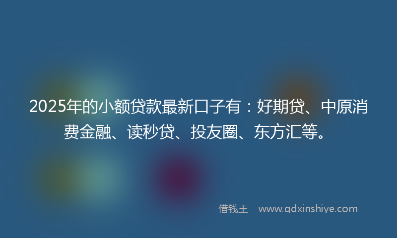 2025年的小额贷款最新口子有：好期贷、中原消费金融、读秒贷、投友圈、东方汇等。